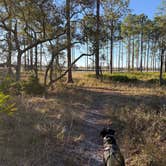 Review photo of Ochlockonee River State Park Campground by Barbara S., July 28, 2026