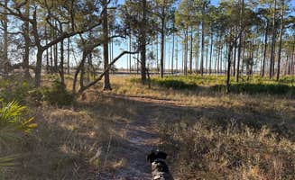 Barbara S.'s photo of camping with pets at Ochlockonee River State Park Campground near Midway, FL