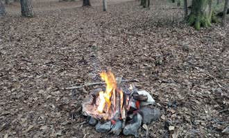 Camping near Hillsboro Road Wildlife Area: Ocmulgee River Camp, Juliette, Georgia