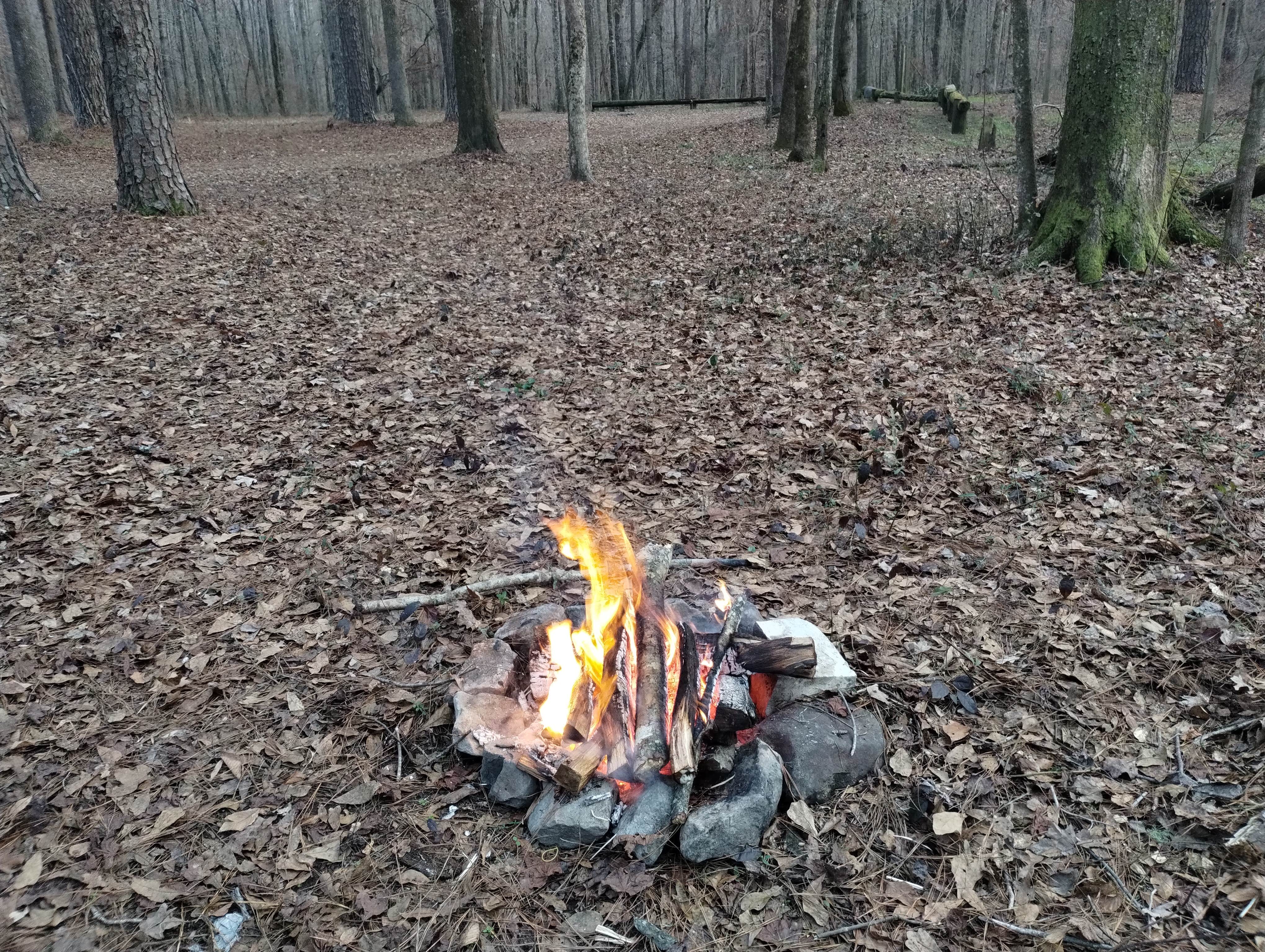 Camper submitted image from Ocmulgee River Camp - 1