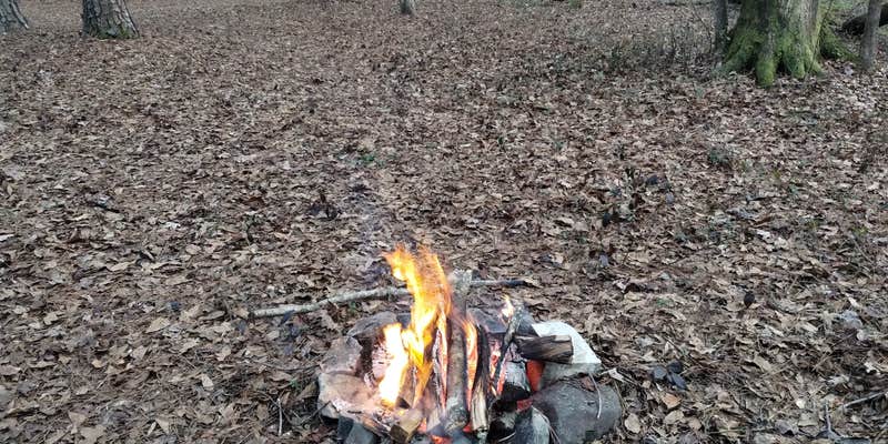 Camper submitted image from Ocmulgee River Camp