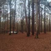 Review photo of Ocmulgee River Camp by Greg D., January 8, 2024