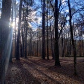 Review photo of Ocmulgee River Camp by Greg D., January 8, 2024