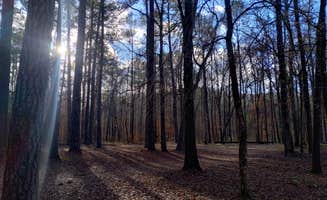 Greg D.'s photo of a dispersed camping area at Ocmulgee River Camp near Warner Robins, GA