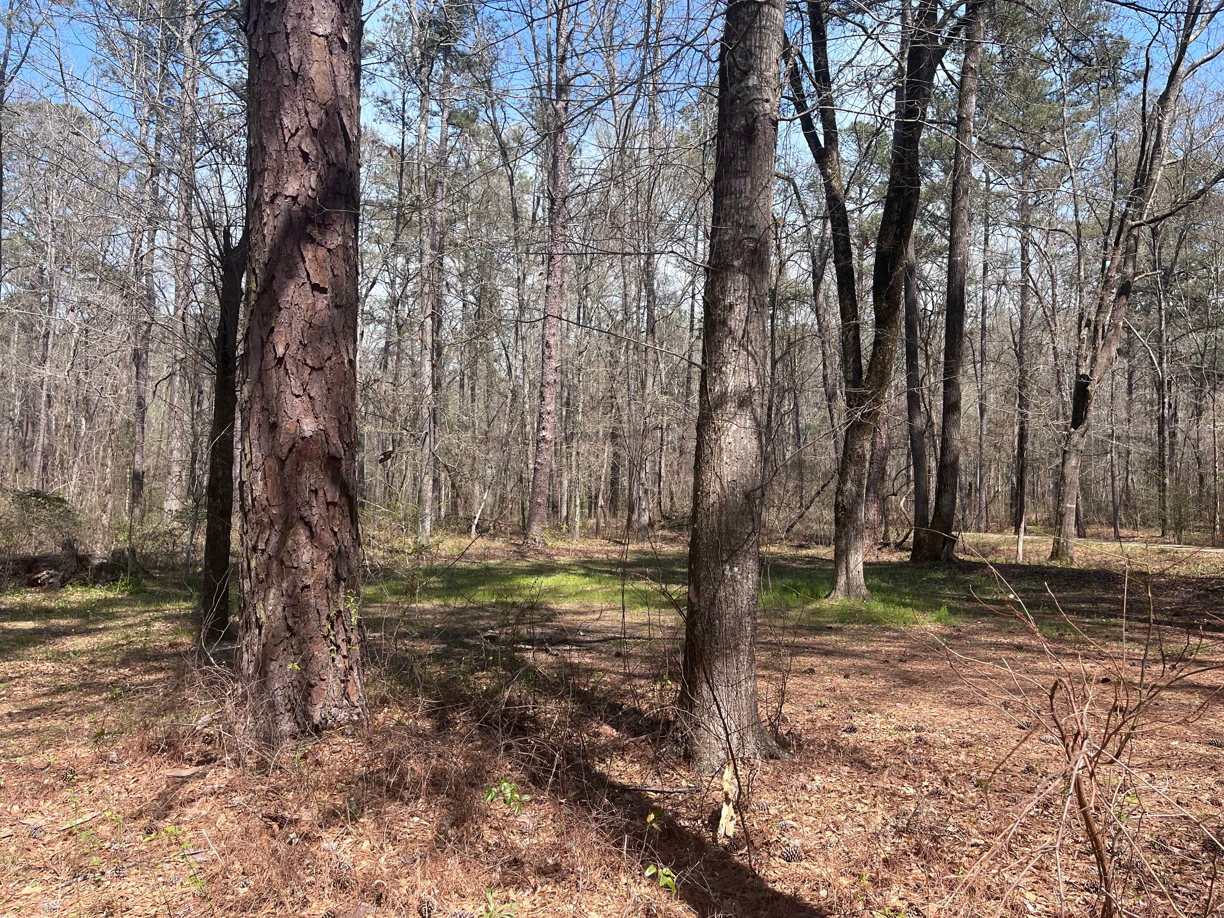 Camper-submitted photo at Ocmulgee River Camp near Milledgeville, GA