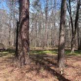 Review photo of Ocmulgee River Camp by Kennon H., March 20, 2026