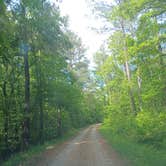Review photo of Ocmulgee River Camp by Bobbi Jo P., May 4, 2026