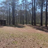 Review photo of Ocmulgee River Camp by Kennon H., March 20, 2026