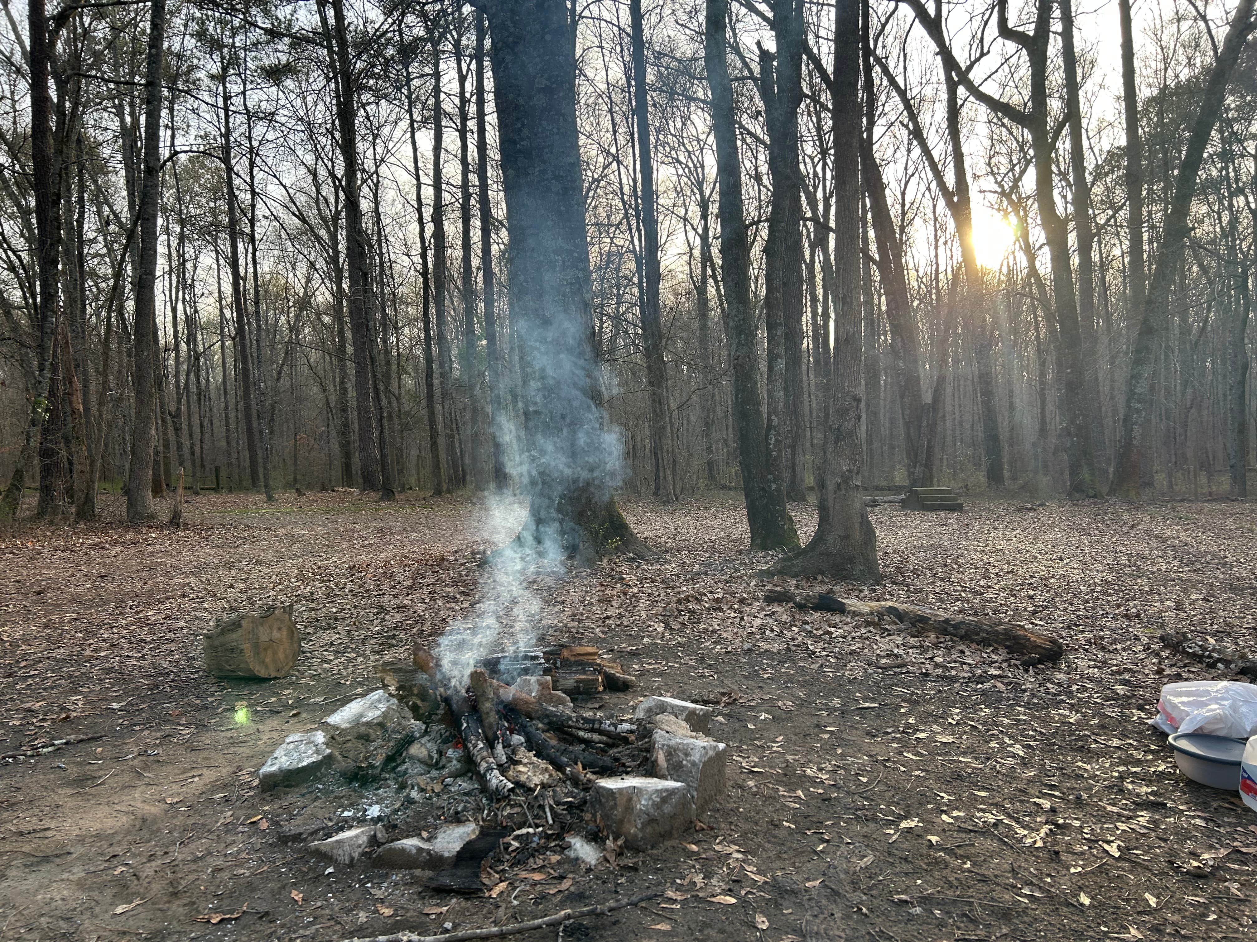 Camper-submitted photo at Ocmulgee River Camp near Centerville, GA