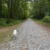 Review photo of Ocmulgee River Camp by Julie H., August 4, 2024