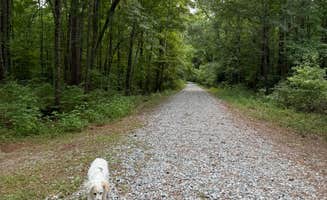 Julie H.'s photo of camping with pets at Ocmulgee River Camp near Centerville, GA