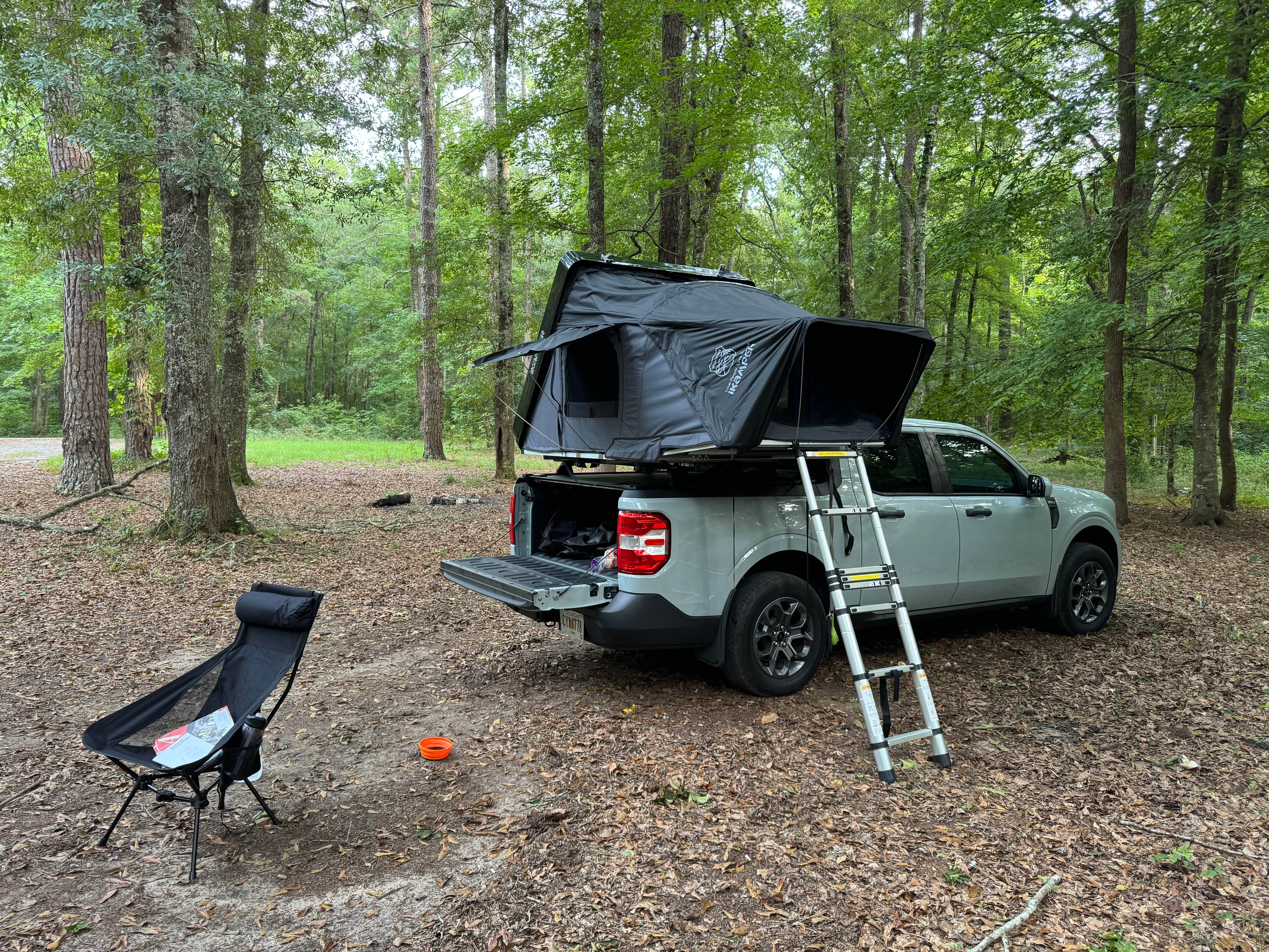 Camper submitted image from Ocmulgee River Camp - 4