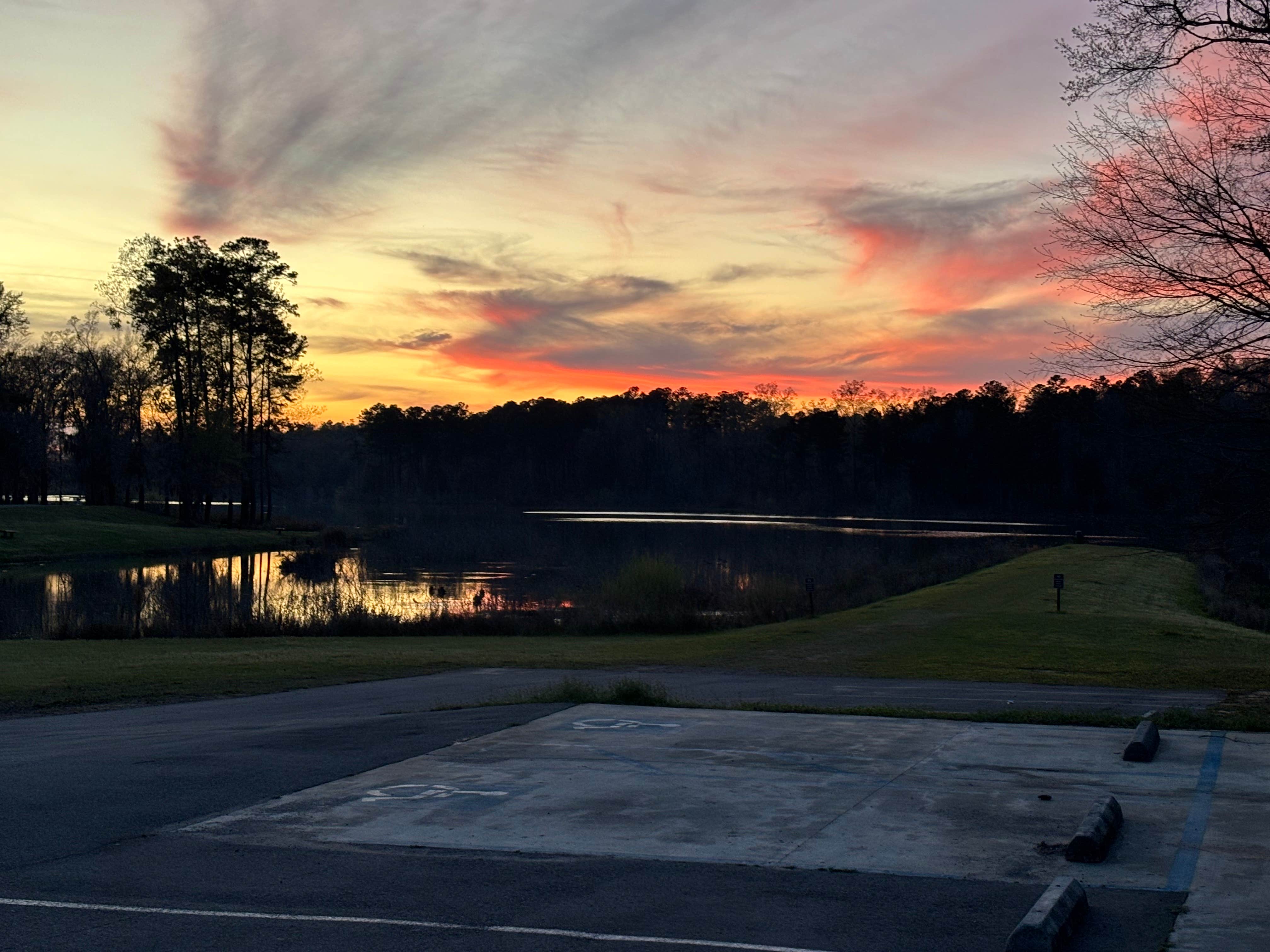 Camper submitted image from Ocmulgee WMA Primitive Camping - 5
