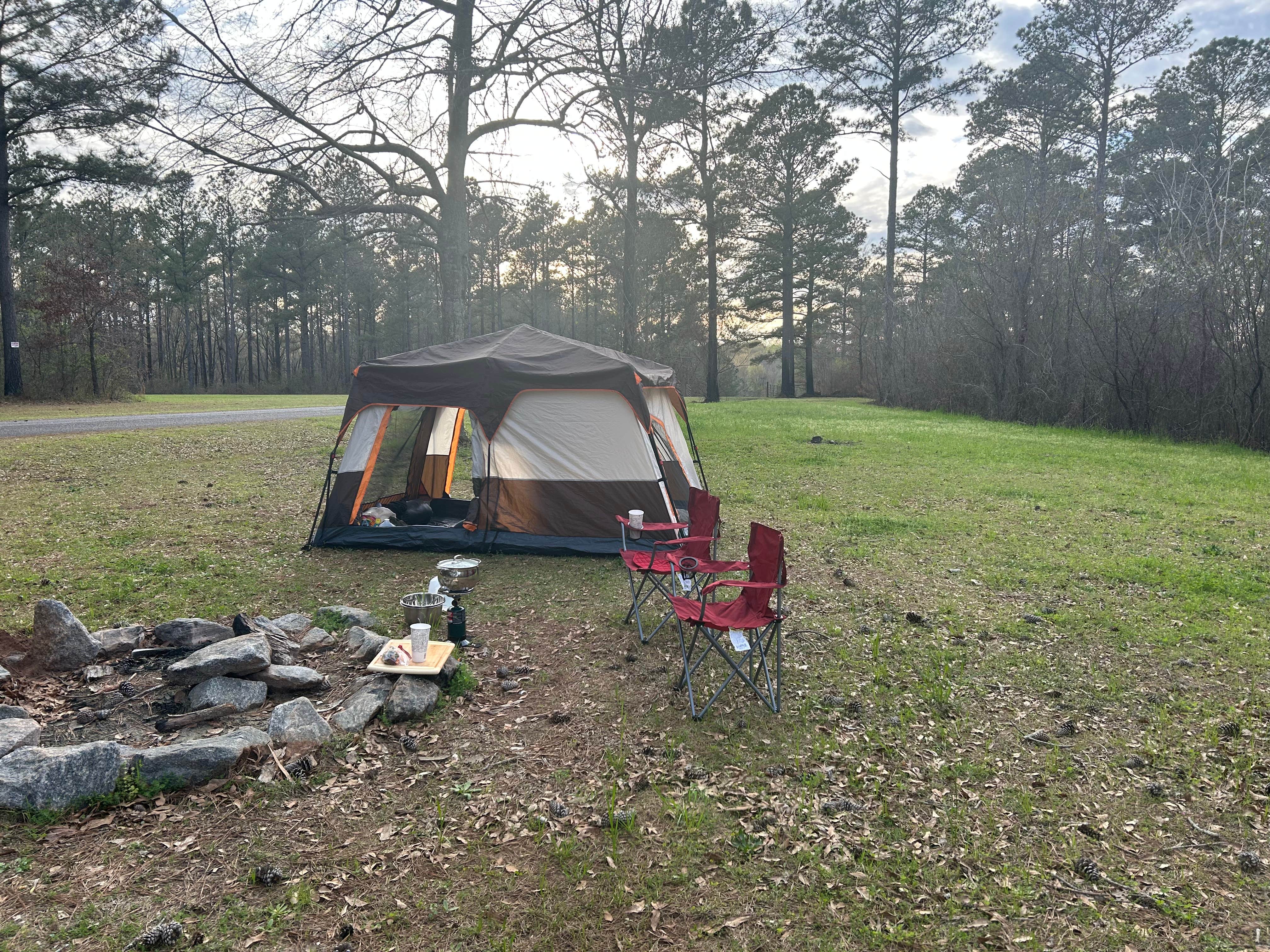 Camper submitted image from Ocmulgee WMA - 4