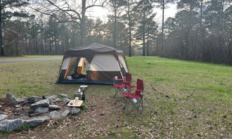 Camping near Robins Air Force Base FamCamp: Ocmulgee WMA, Perry, Georgia