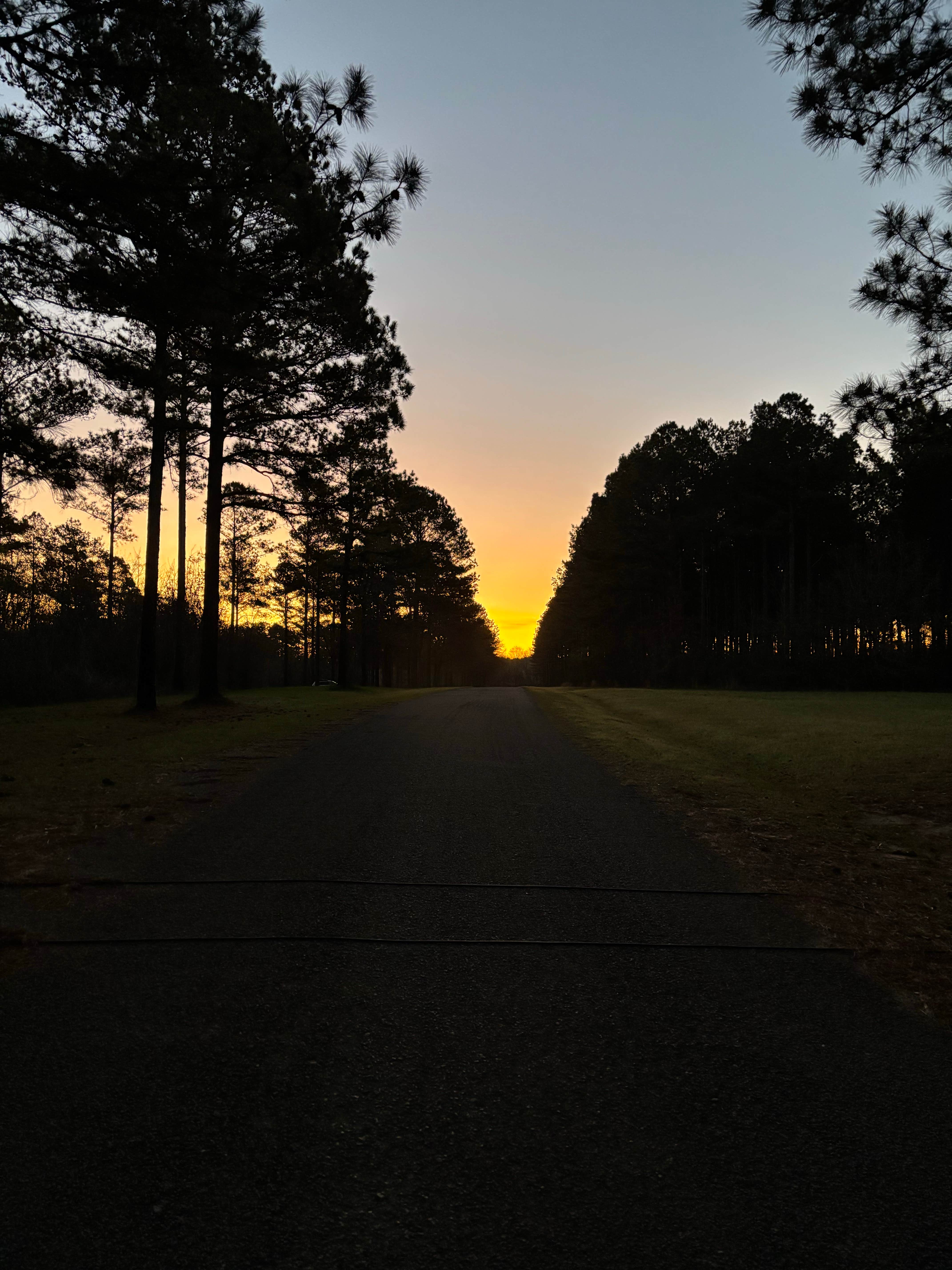 Camper submitted image from Ocmulgee WMA Primitive Camping - 2