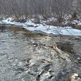 Review photo of Oconto River-2nd Branch by Skip H., February 13, 2024