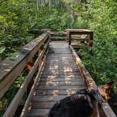 Review photo of Oconto River-2nd Branch by hesselinkj@yahoo.com , August 4, 2024