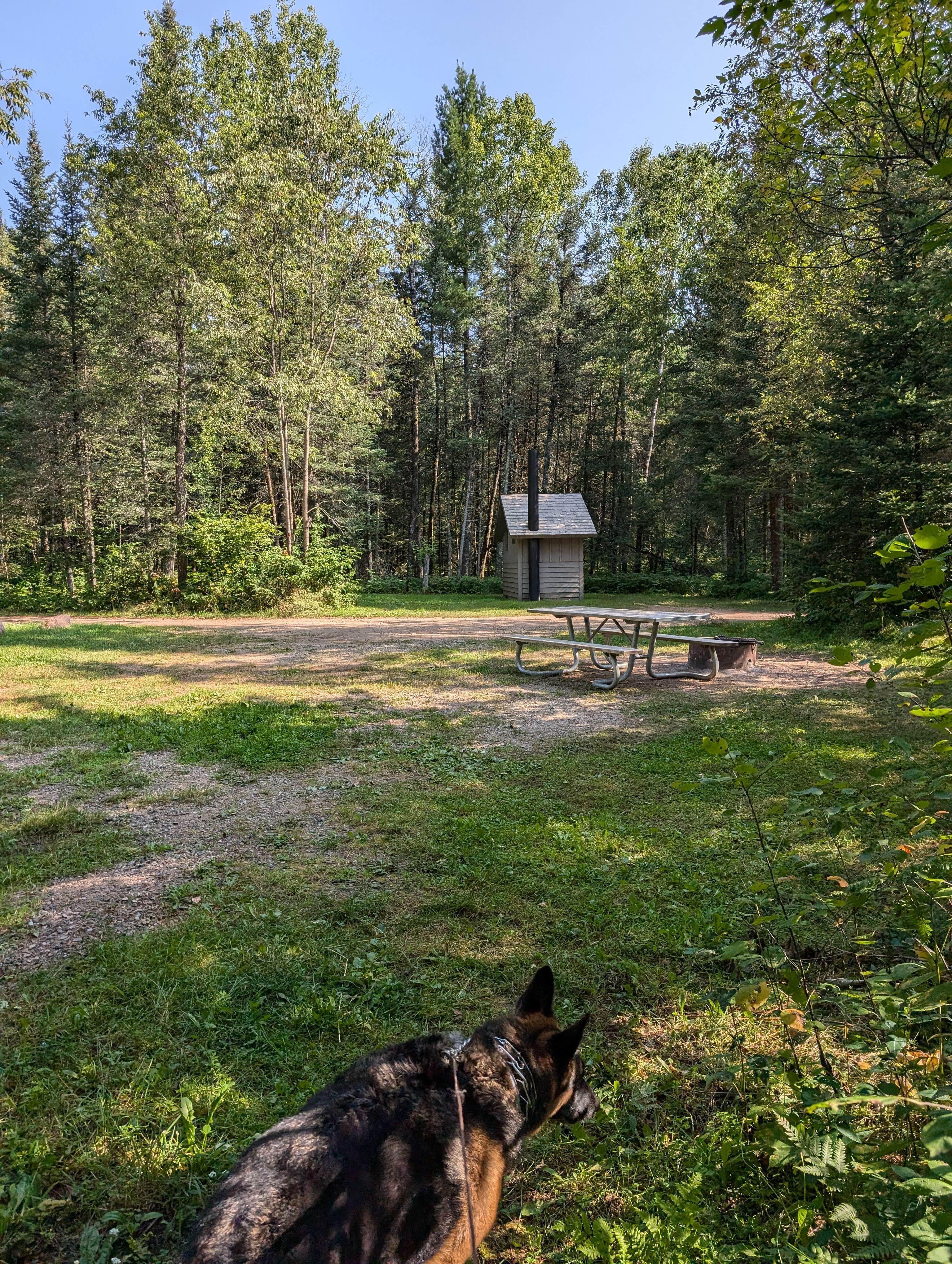 hesselinkj@yahoo.com's photo of camping with pets at Oconto River-2nd Branch near Shawano, WI