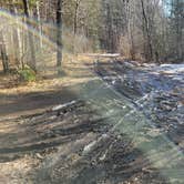 Review photo of Oconto River-2nd Branch by Skip H., February 13, 2024