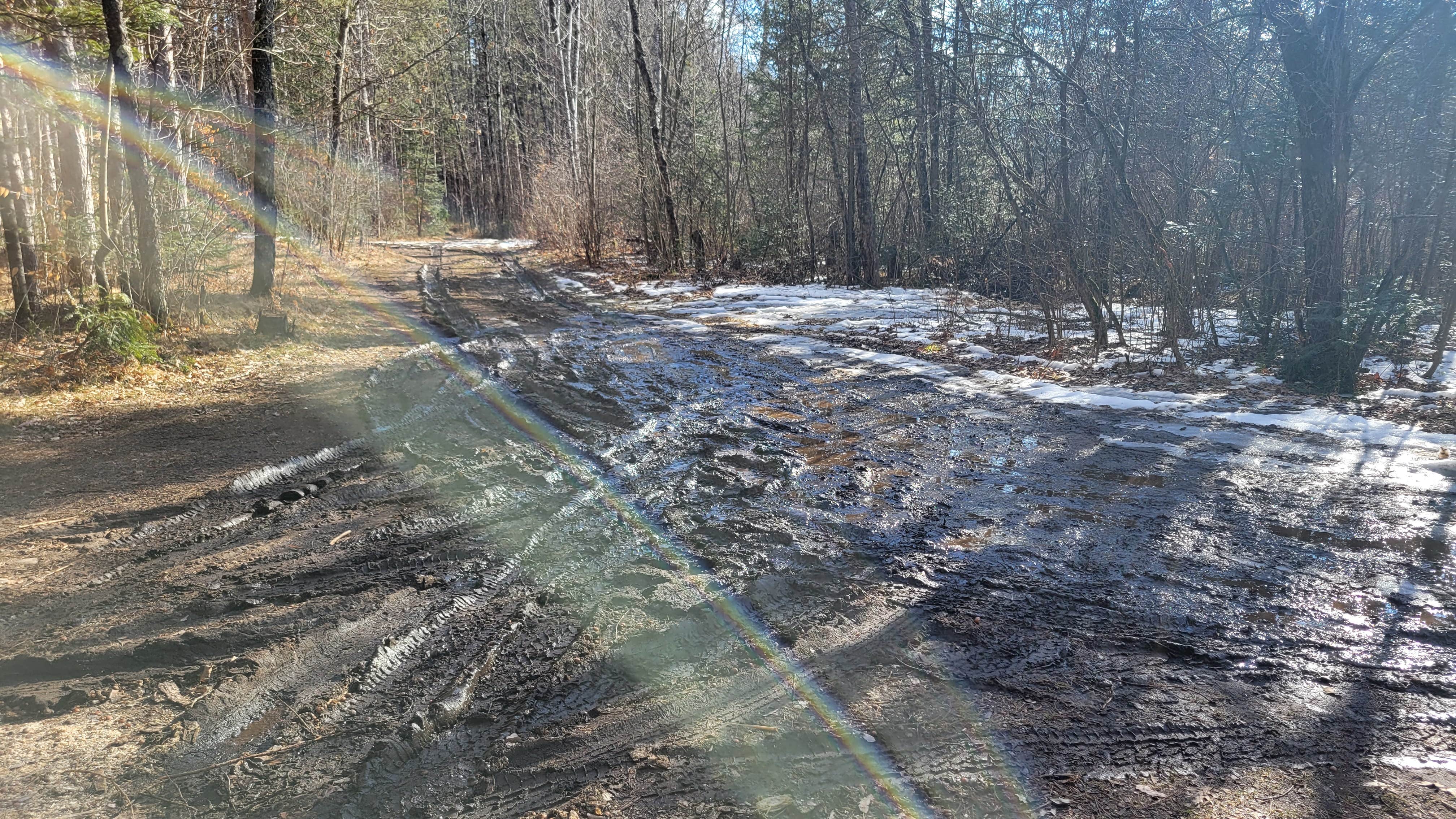 Camper submitted image from Oconto River-2nd Branch - 3