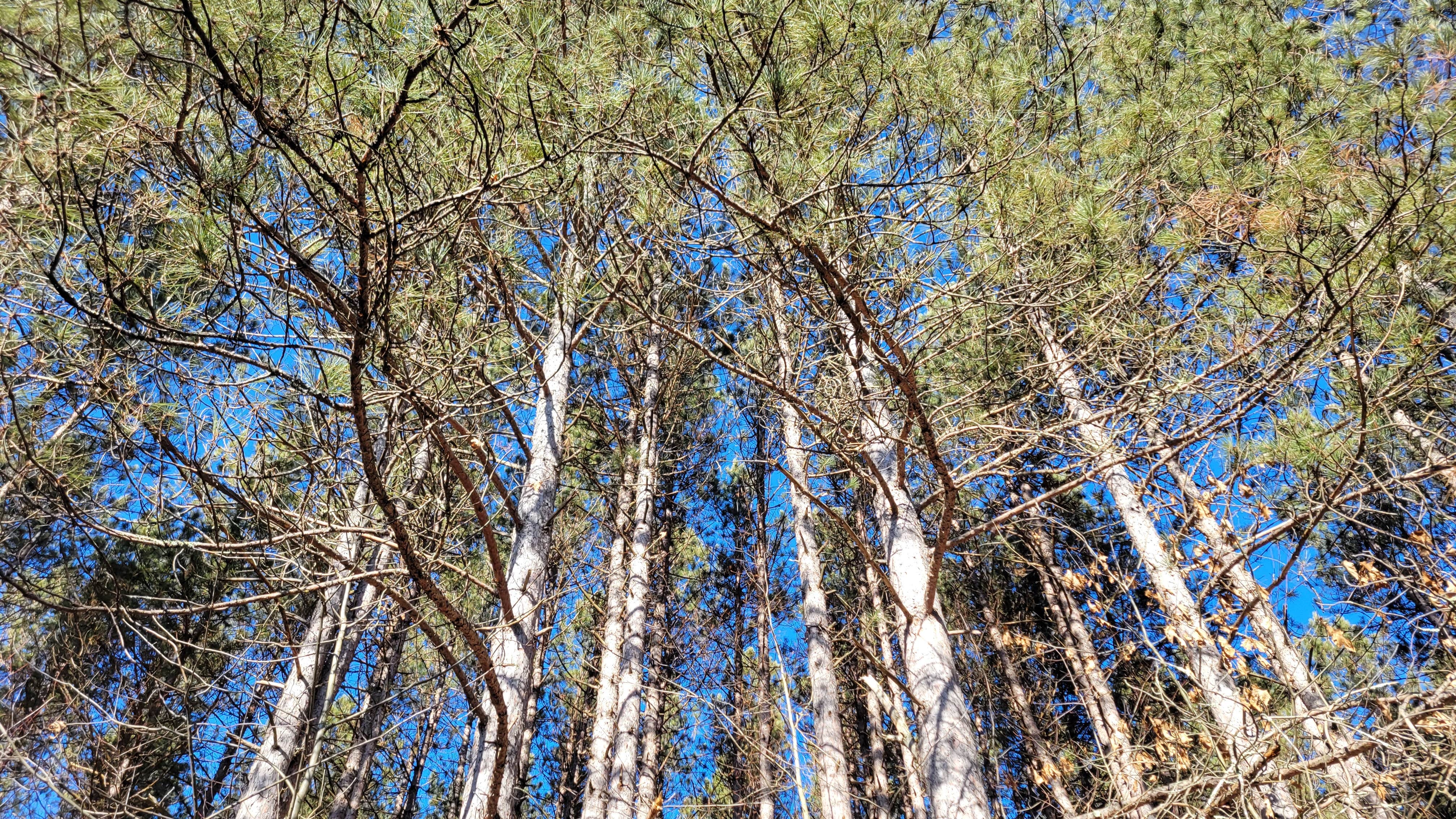 Camper-submitted photo at Oconto River-2nd Branch near White Lake, WI