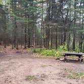 Review photo of Oconto River off Mountain Lake Road by Zachary S., October 11, 2023