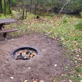 Review photo of Oconto River off Mountain Lake Road by Zachary S., October 11, 2023