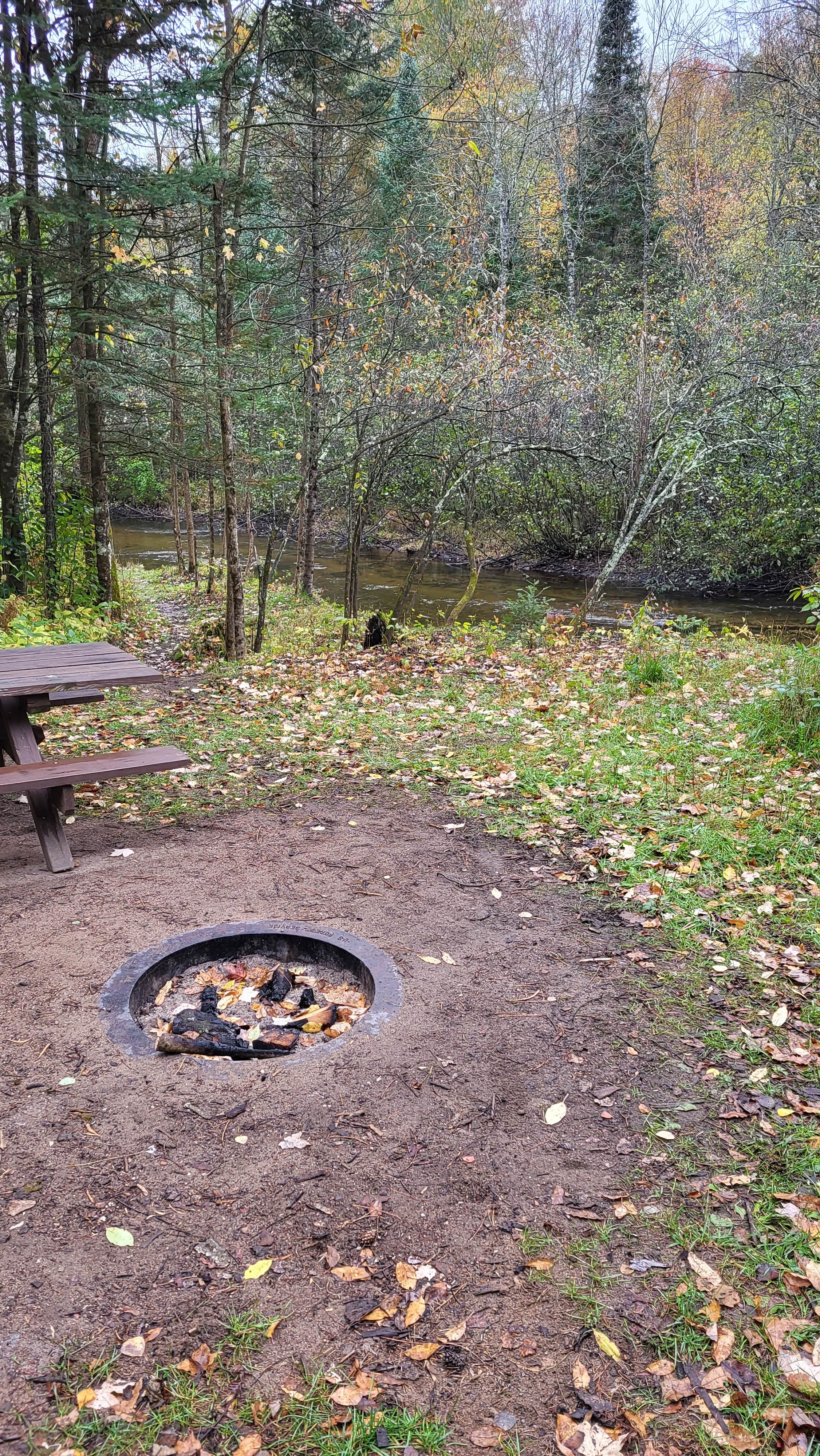 Camper submitted image from Oconto River off Mountain Lake Road - 2