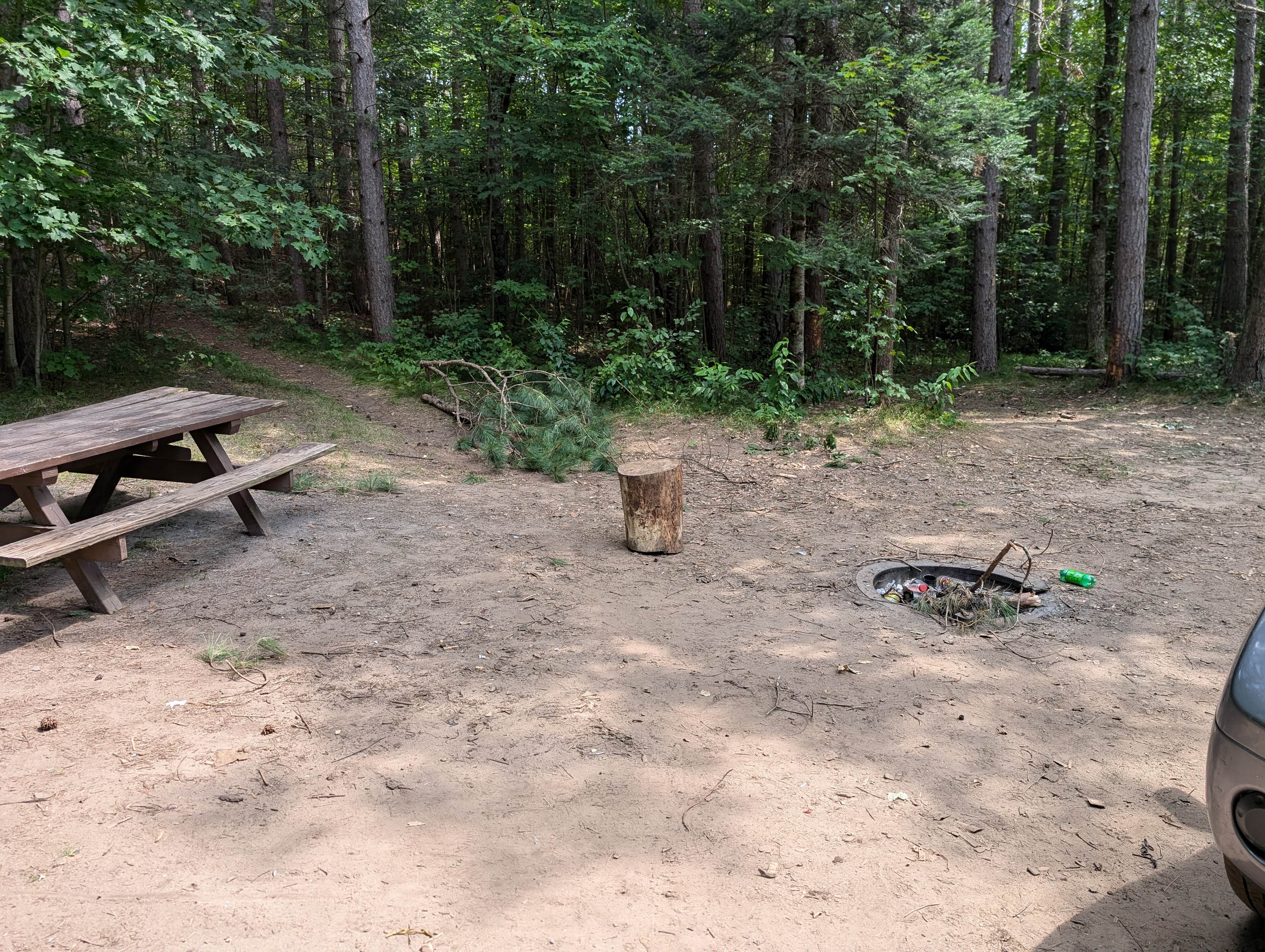 Camper-submitted photo at Oconto River off Mountain Lake Road near Summit Lake, WI