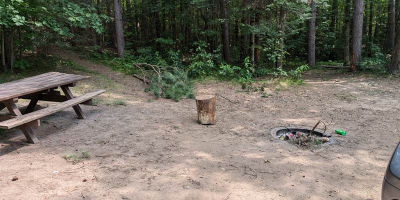 Camper submitted image from Oconto River off Mountain Lake Road