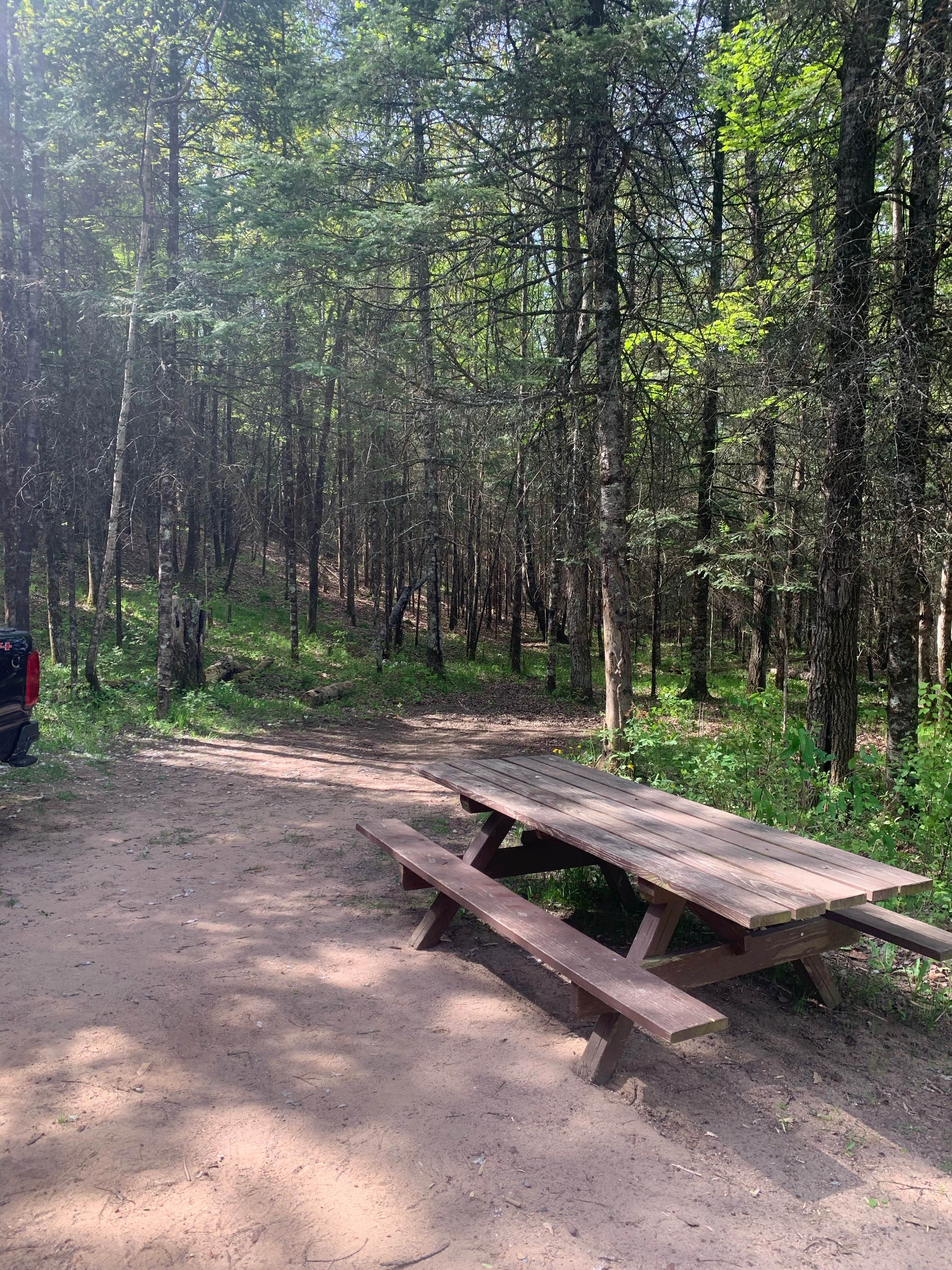 Camper submitted image from Oconto River off Mountain Lake Road - 4