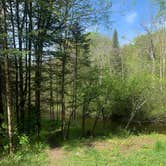 Review photo of Oconto River off Mountain Lake Road by Nick H., May 19, 2024