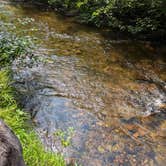 Review photo of Oconto River off Mountain Lake Road by hesselinkj@yahoo.com , August 14, 2024