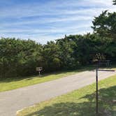 Review photo of Ocracoke Campground — Cape Hatteras National Seashore by Roger W., November 19, 2023