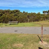 Review photo of Ocracoke Campground — Cape Hatteras National Seashore by Roger W., November 19, 2023