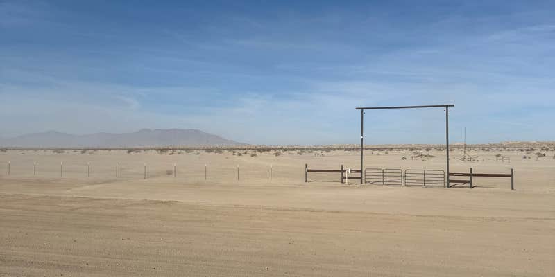 Camper submitted image from Octillo Wells OHV Recreation Area