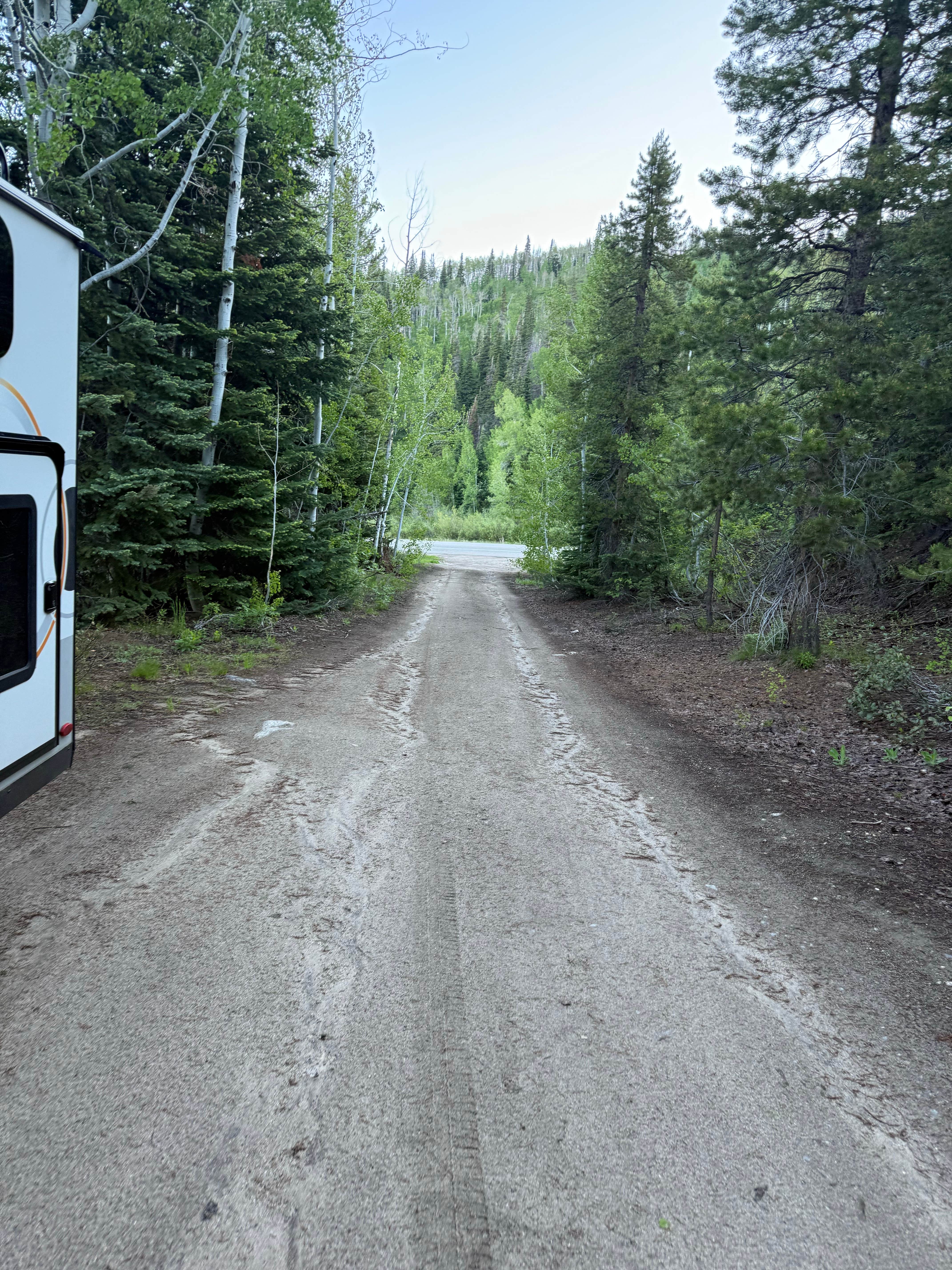 Camper submitted image from Off Highway 40 Dispersed - 2