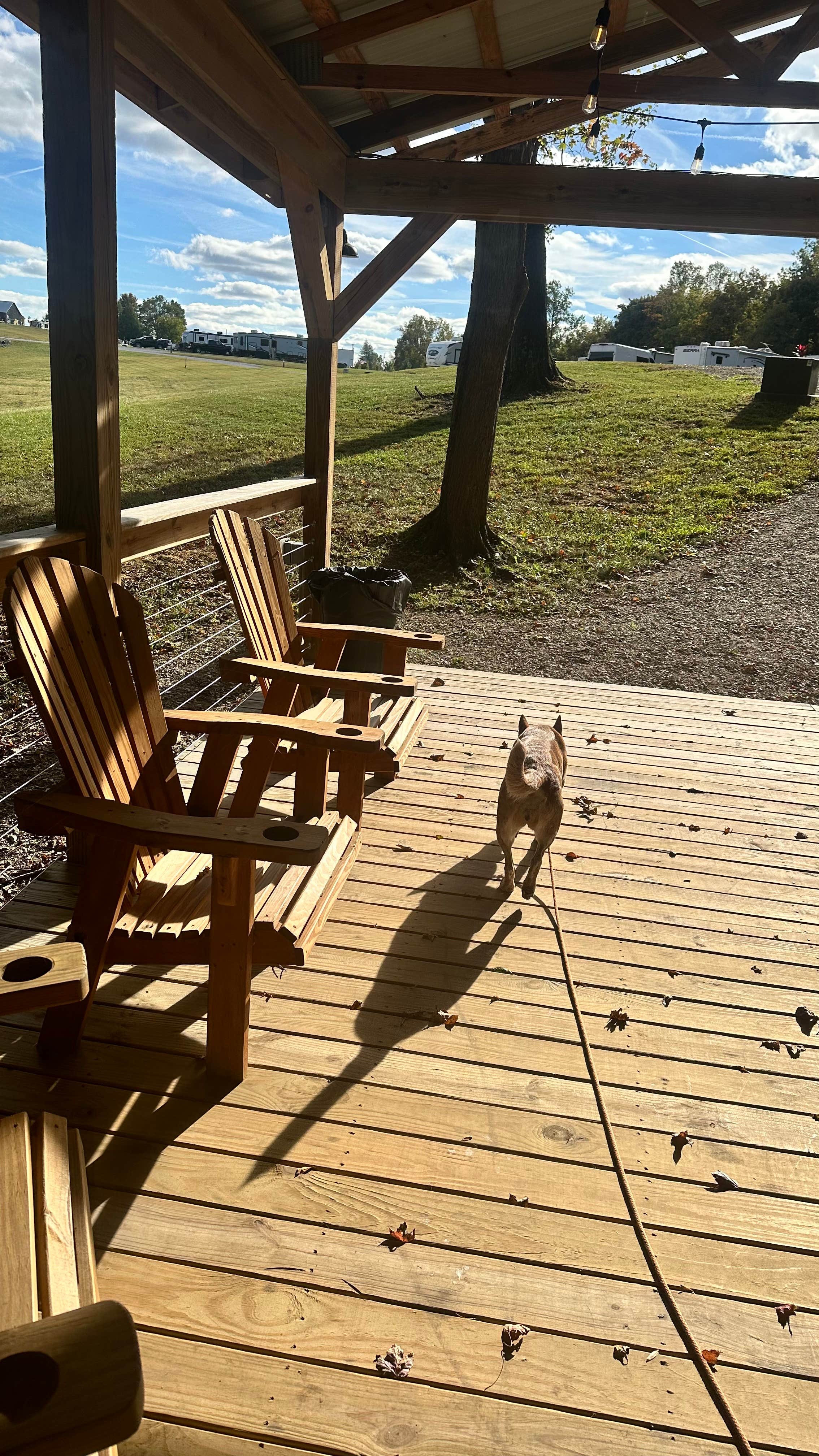 Camper-submitted photo at Off The Hook RV Campground near Parkers Lake, KY
