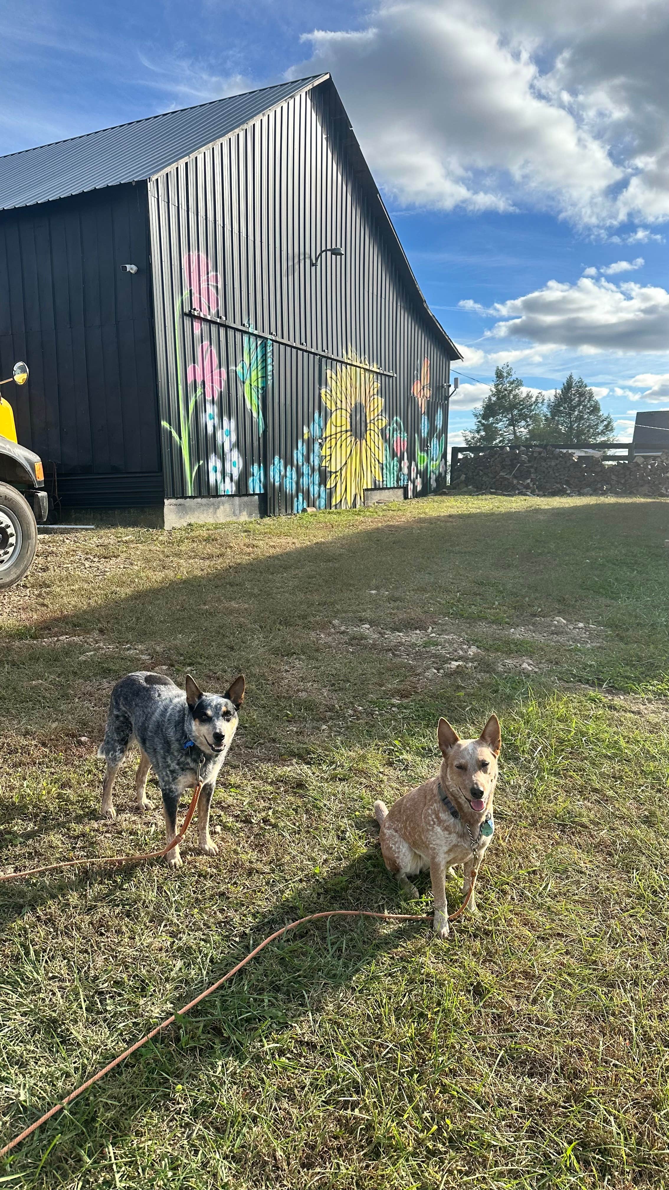 Camper-submitted photo at Off The Hook RV Campground near Parkers Lake, KY