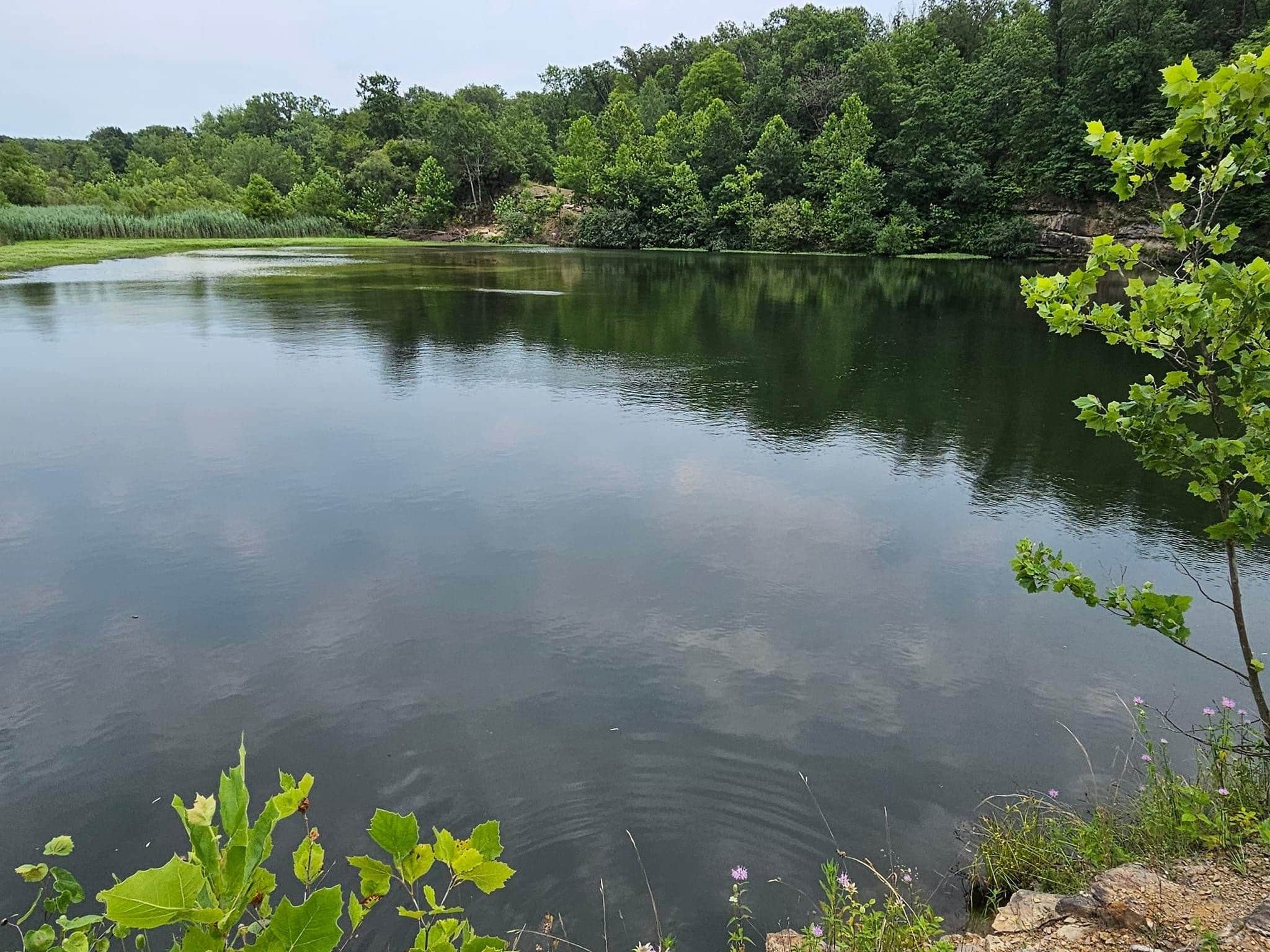 Camper-submitted photo at Off The Trail Campground near Danville, IL
