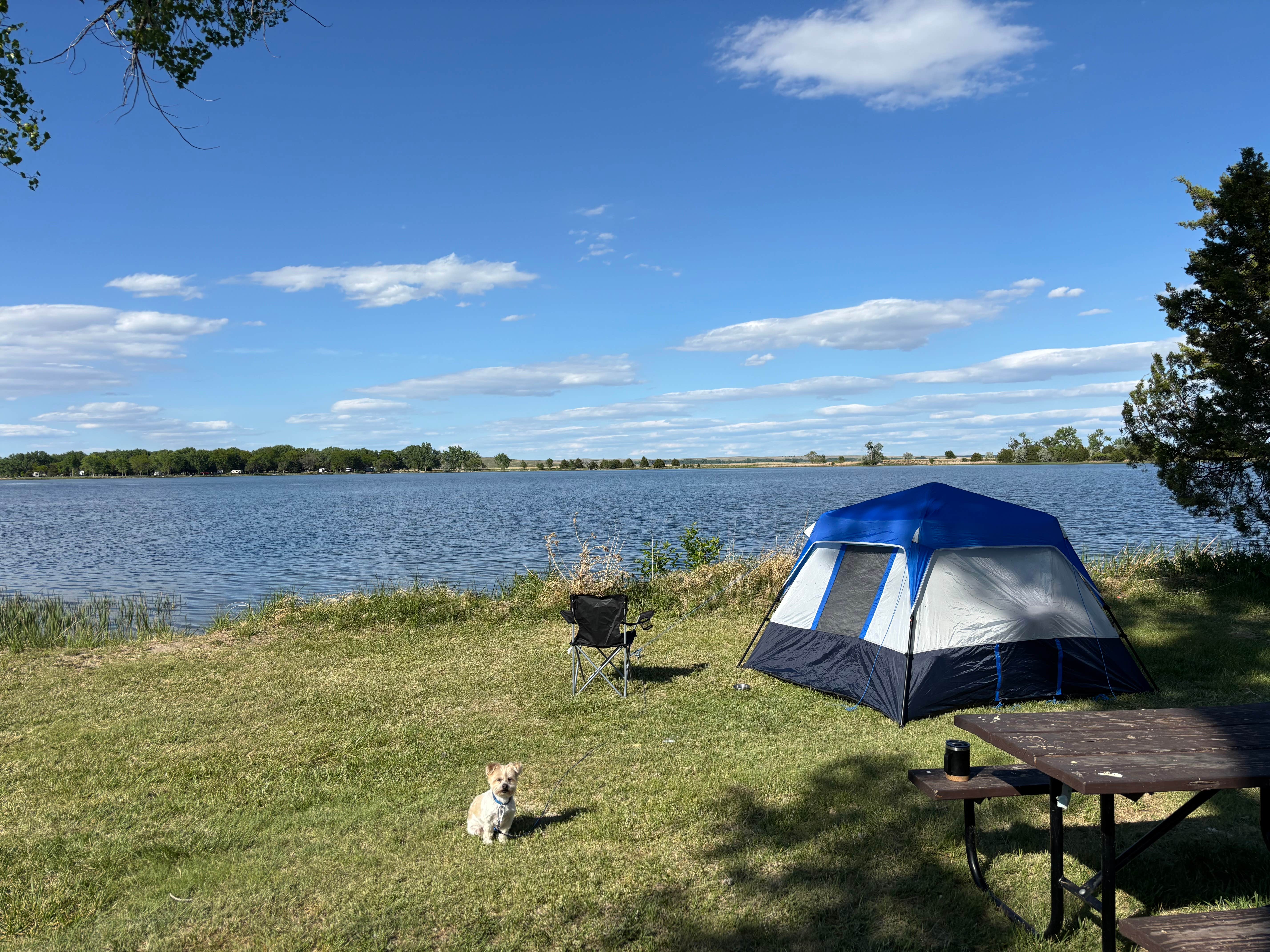 Bruce K.'s photo of camping with pets at Lake Ogallala State Recreation Area Campground in Nebraska