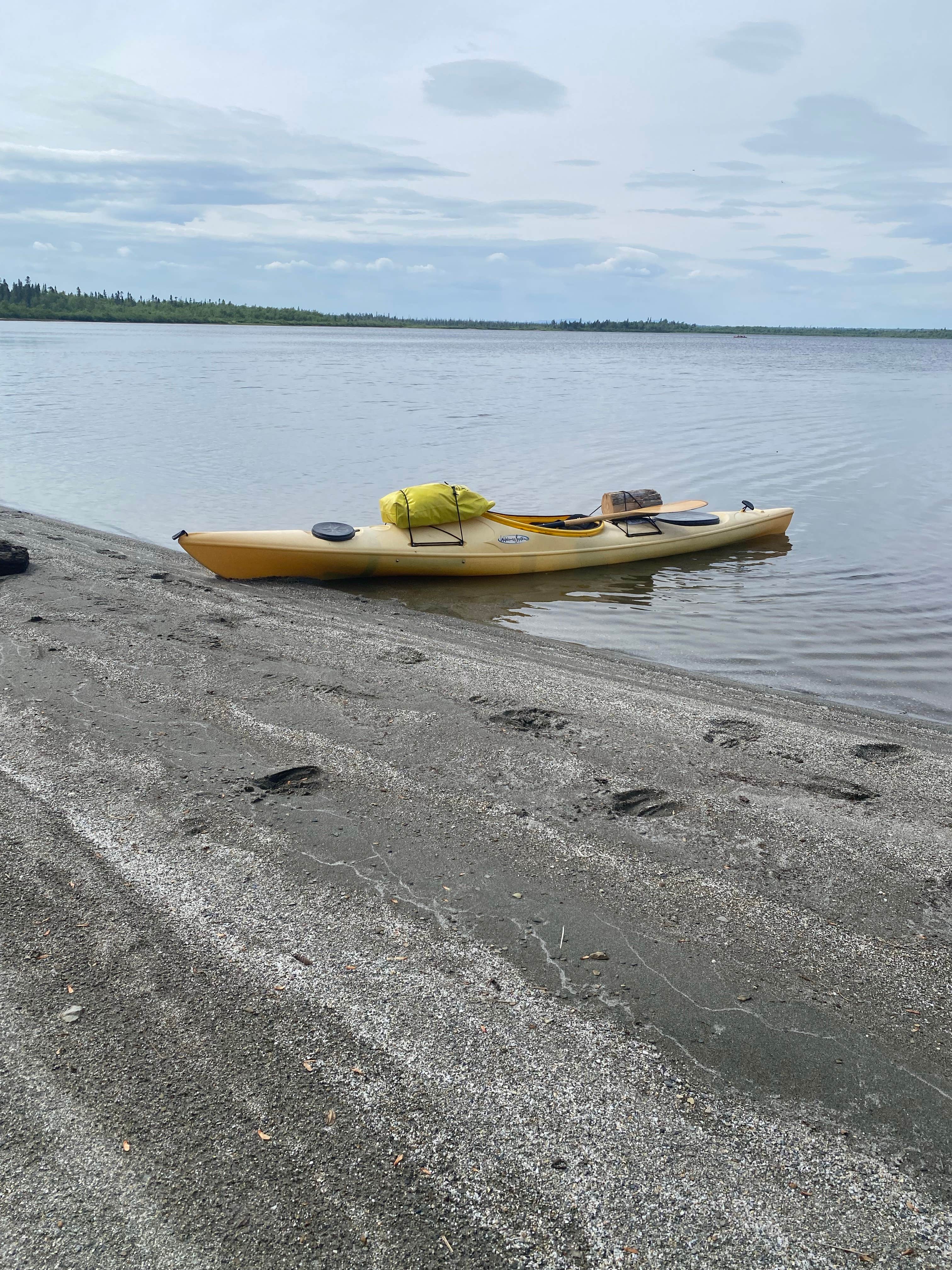 Camping near Shallow Bay: Ogden Cove, Rockwood, Maine