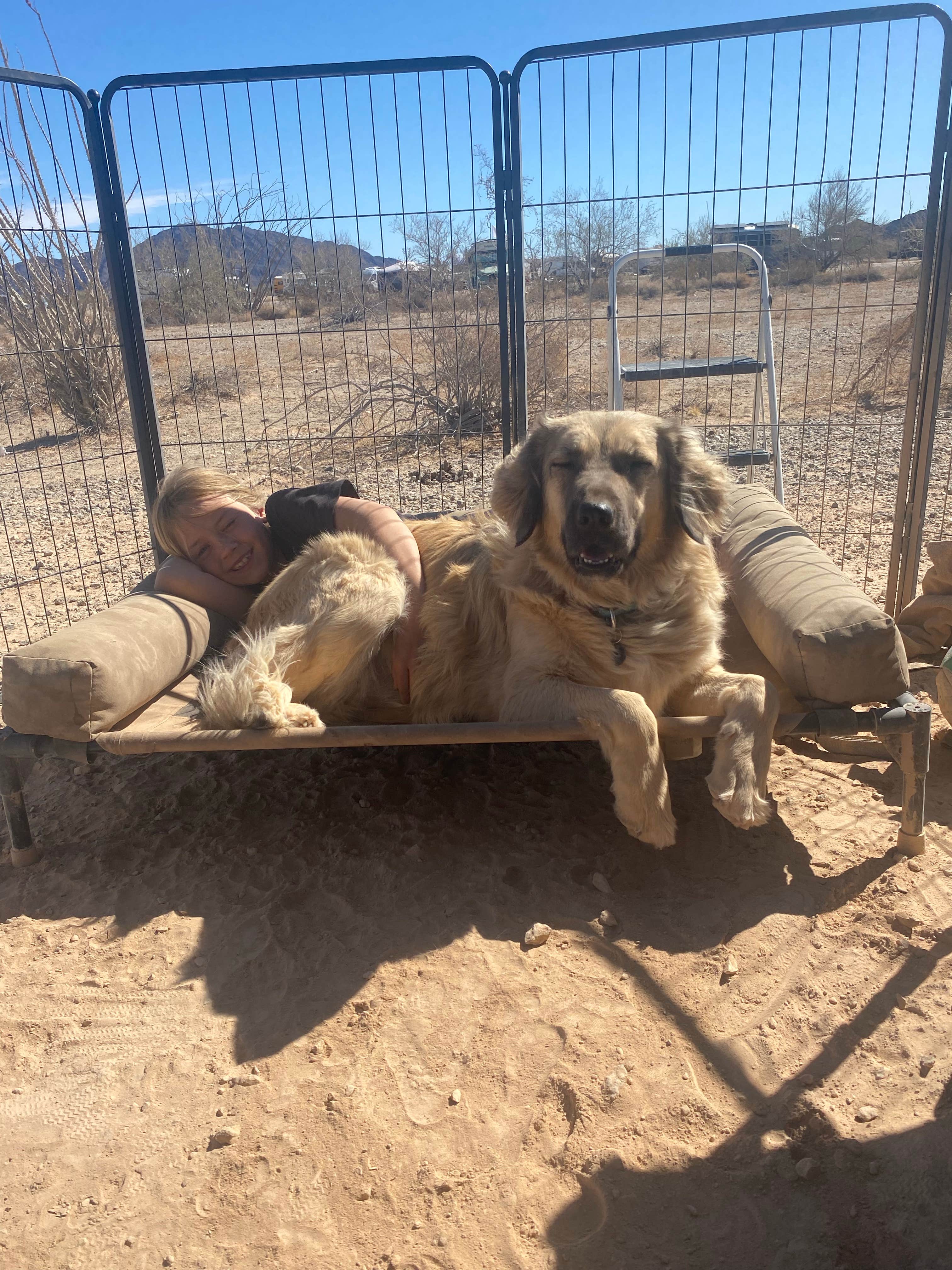 Camper-submitted photo at Ogilby Road Dispersed BLM near Holtville, CA