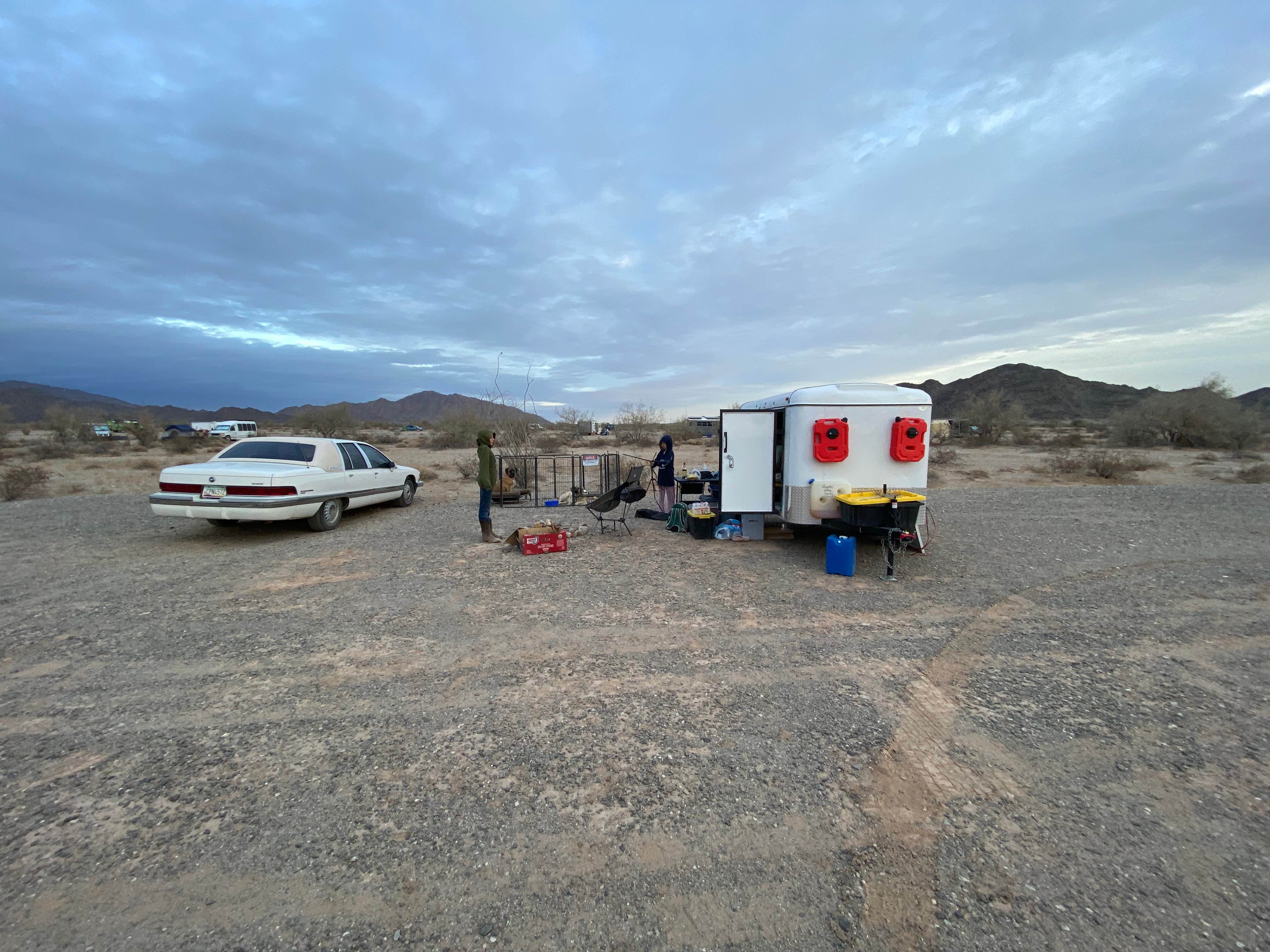 Camper submitted image from Ogilby Road Dispersed BLM - 2