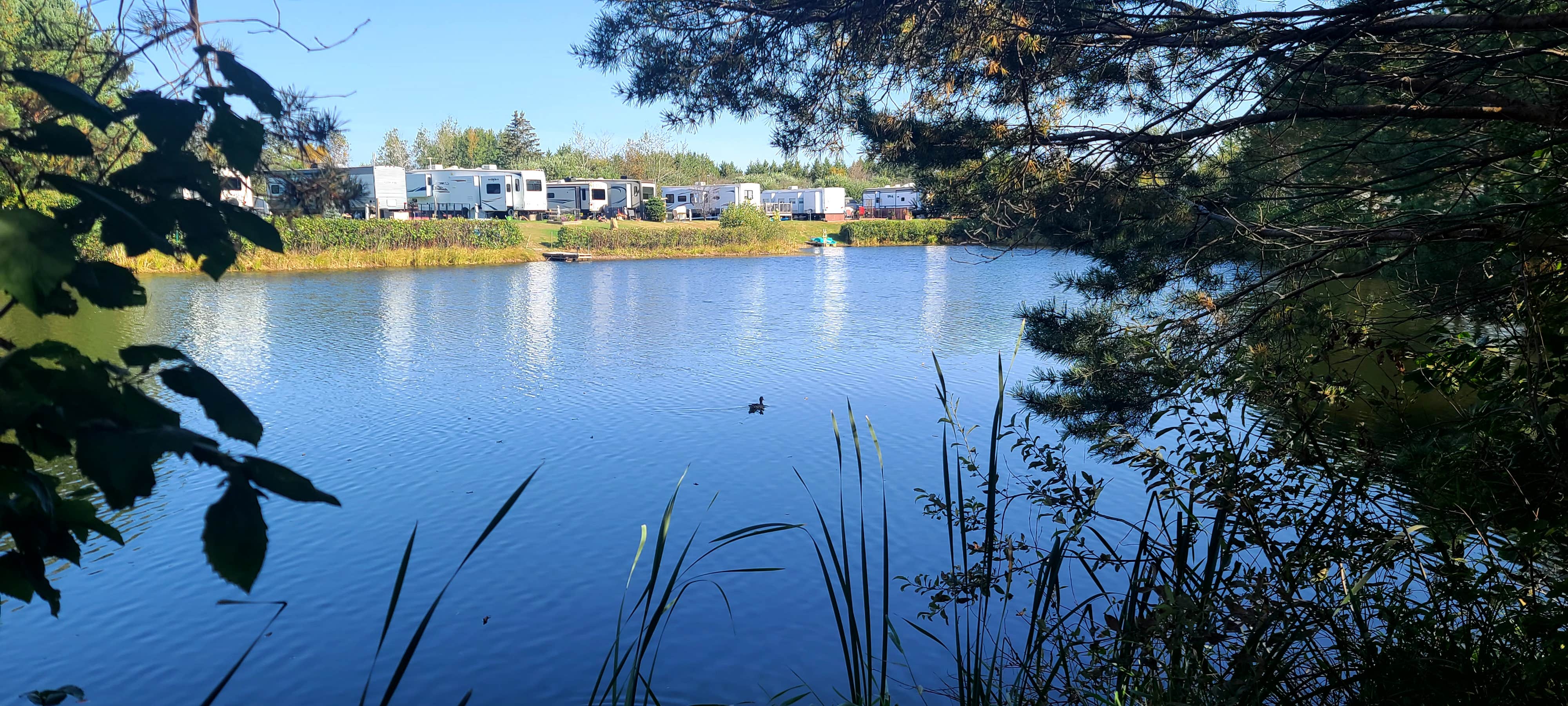 Camper-submitted photo at Red Pine Campground near Meadowlands, MN