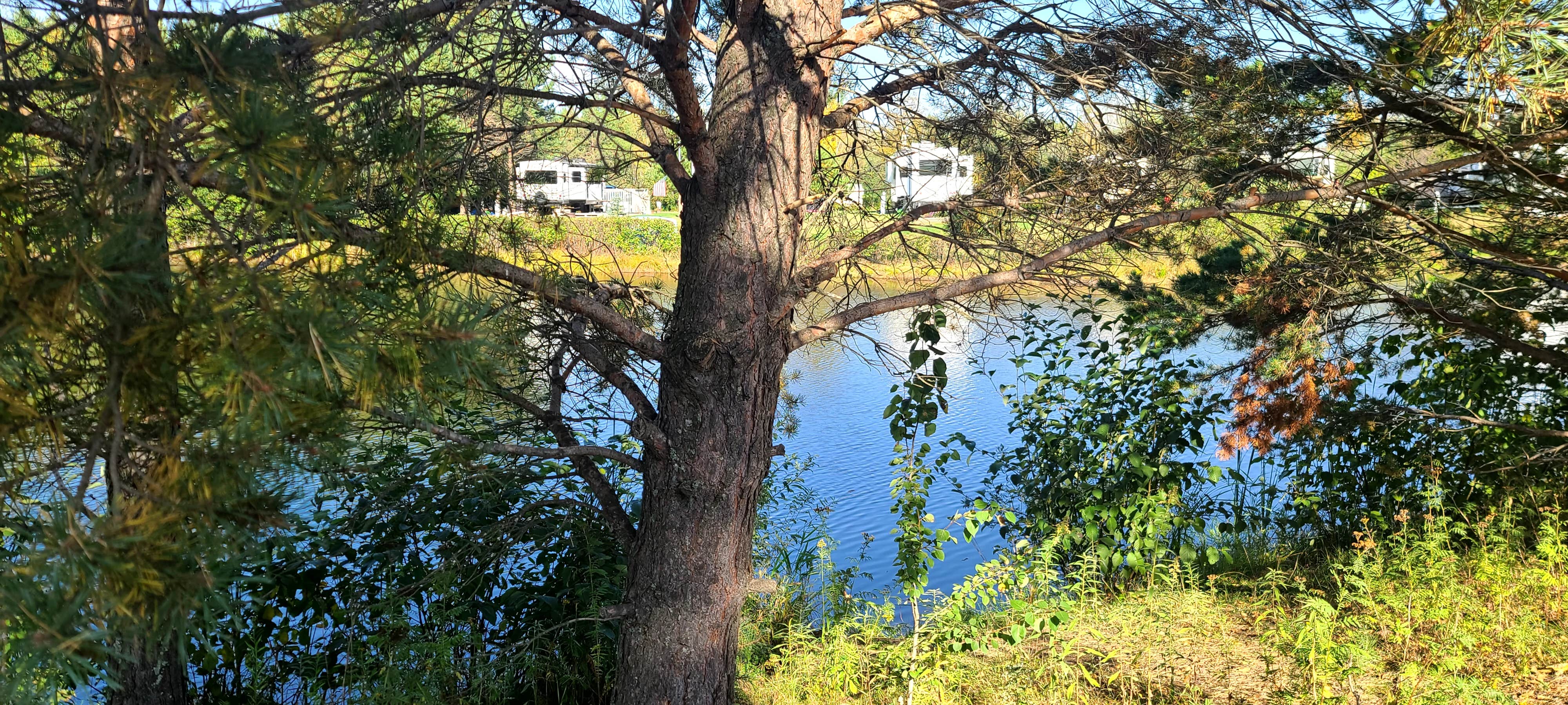 Camper-submitted photo at Red Pine Campground near Meadowlands, MN
