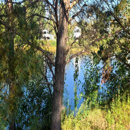 Red Pine Campground