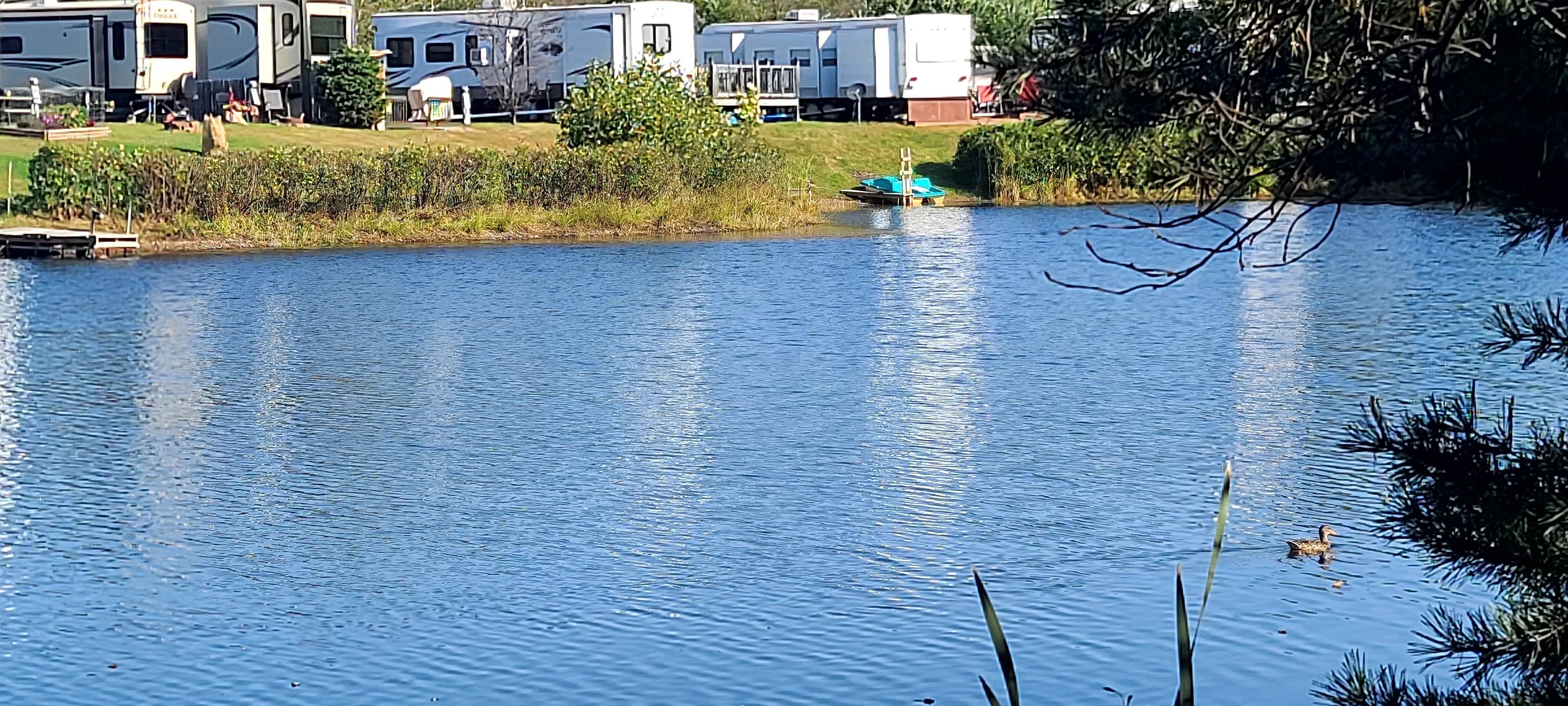 Camper-submitted photo at Red Pine Campground near Meadowlands, MN