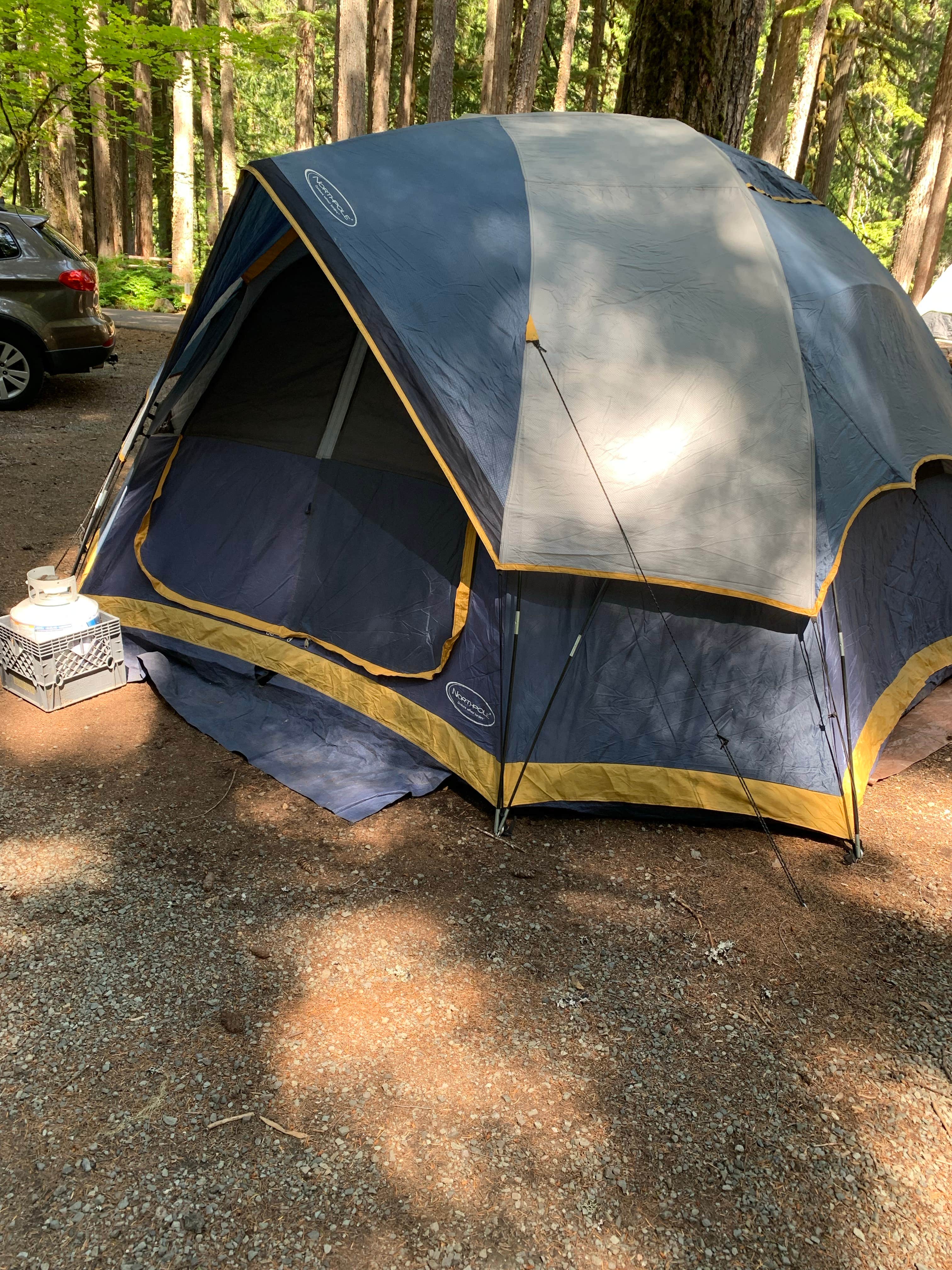 Delwayne S.'s photo at Ohanapecosh Campground — Mount Rainier National Park near Paradise, WA